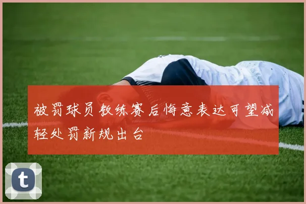 被罚球员教练赛后悔意表达可望减轻处罚新规出台