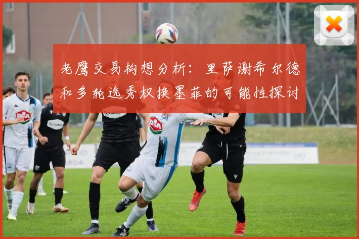 老鹰交易构想分析：里萨谢希尔德和多轮选秀权换墨菲的可能性探讨